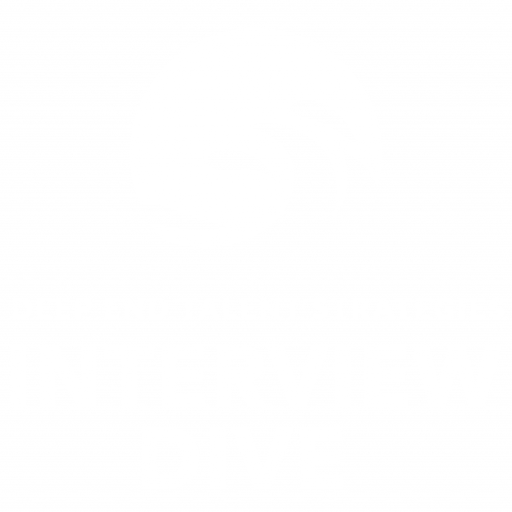 Interview Dive Logo - White